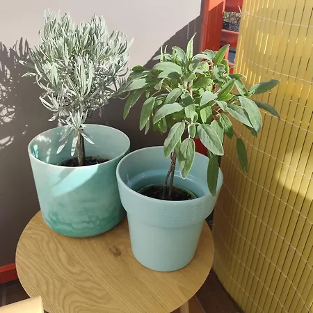 公寓 Happy Weekend Mit Balkon Und Blick Ins Gruene 巴特克罗伊茨纳赫