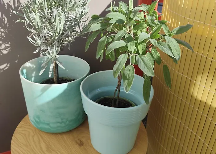 公寓 Happy Weekend Mit Balkon Und Blick Ins Gruene 巴特克罗伊茨纳赫